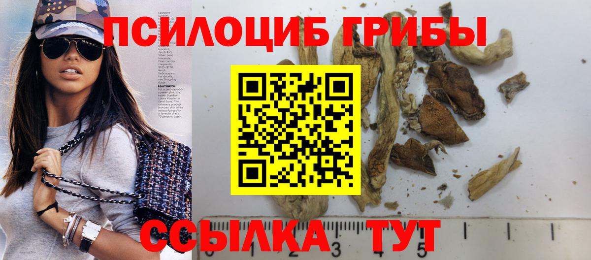 Искитим  Псилоцибиновые грибы GOLDEN TEACHER  купить  сайты  Вход с VPN  Галлюциногенные грибы мухоморы 